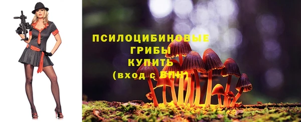 apvp Майский